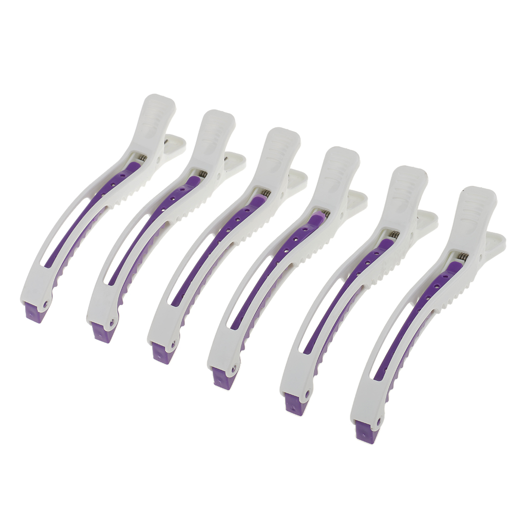 6PCS Pro Hairdressing Salon Se - Crocodile Clip Set recension och pris